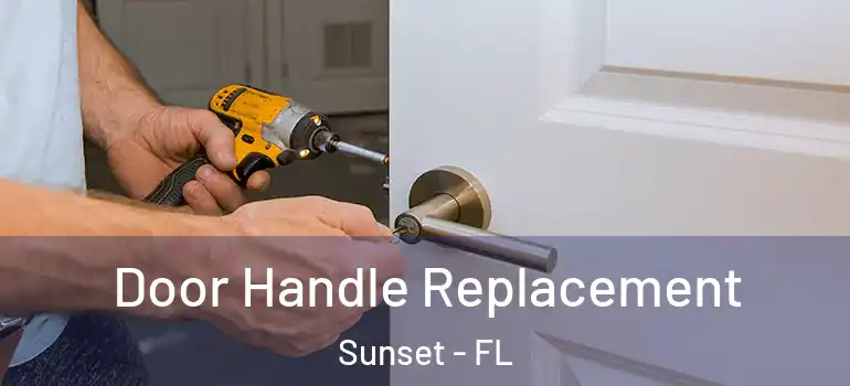  Door Handle Replacement Sunset - FL