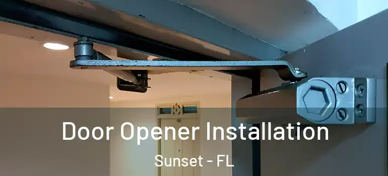  Door Opener Installation Sunset - FL