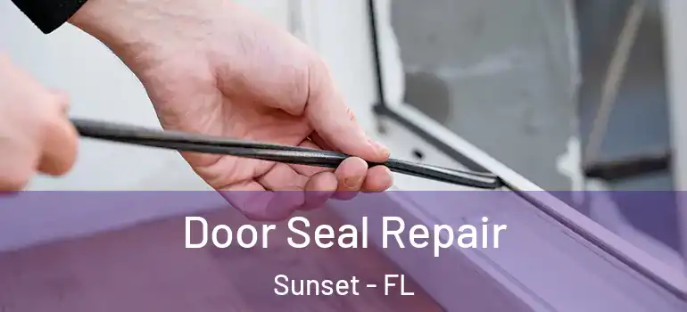  Door Seal Repair Sunset - FL
