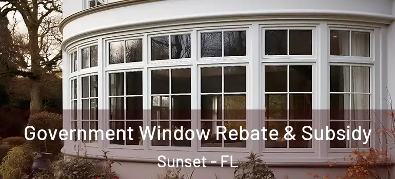  Government Window Rebate & Subsidy Sunset - FL