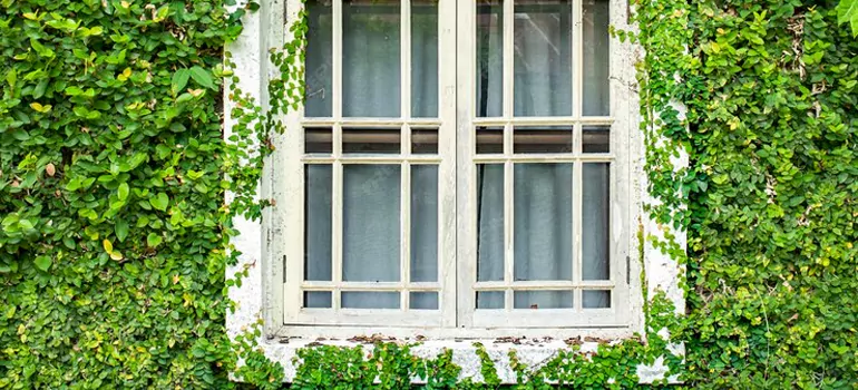 Garden Window Repair Near Me in Sunset, FL