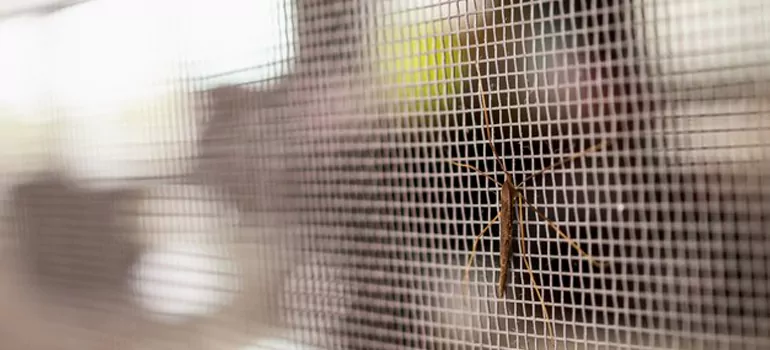 Repair Mosquito Mesh For Windows in Sunset, FL