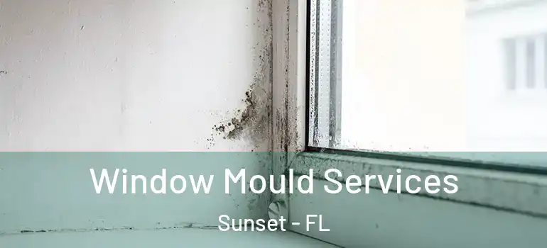  Window Mould Services Sunset - FL